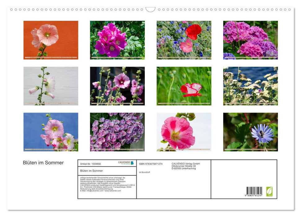 Blüten im Sommer (CALVENDO Wandkalender 2024)