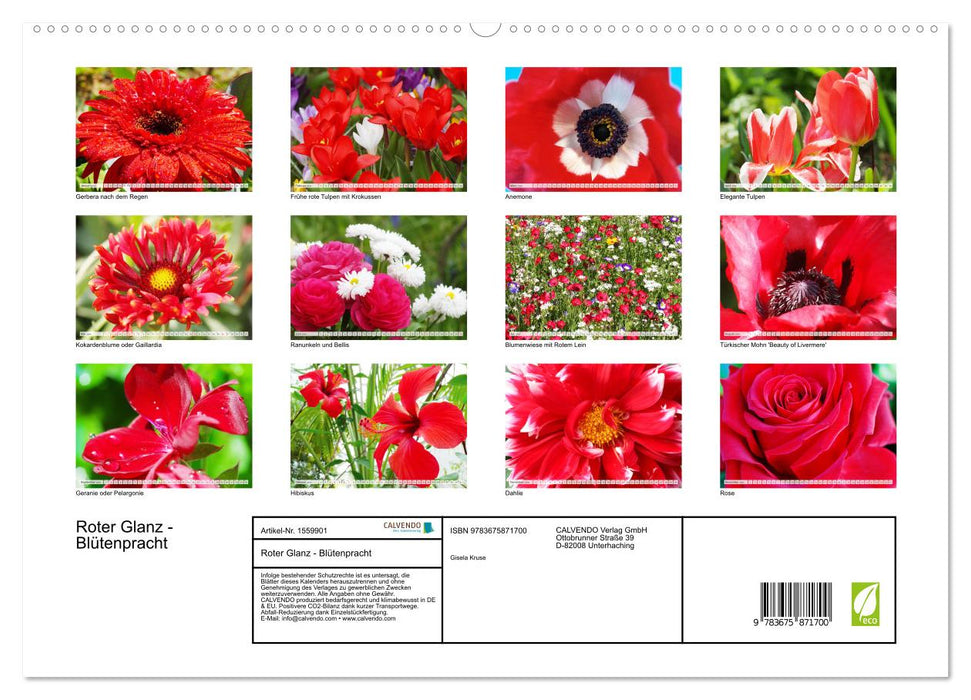 Roter Glanz Blütenpracht (CALVENDO Premium Wandkalender 2024)