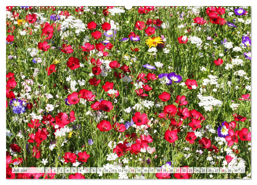 Roter Glanz Blütenpracht (CALVENDO Premium Wandkalender 2024)