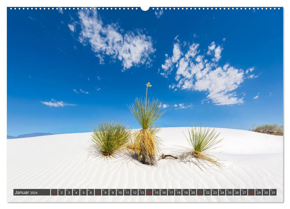 WHITE SANDS Die weiße Wüste in New Mexico (CALVENDO Wandkalender 2024)