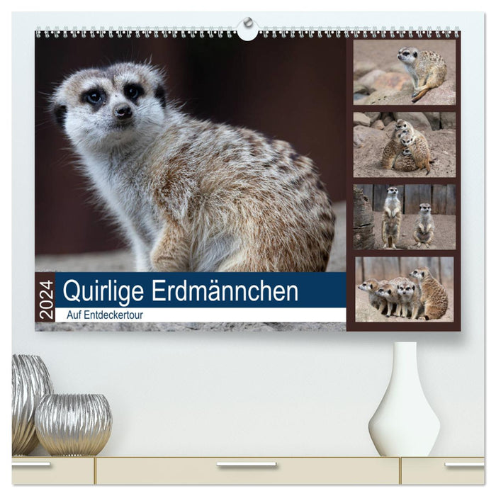 Quirlige Erdmännchen (CALVENDO Premium Wandkalender 2024)
