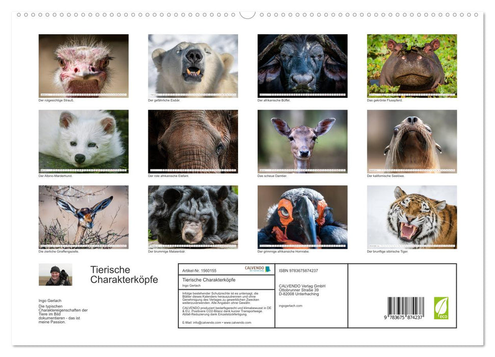 Tierische Charakterköpfe (CALVENDO Premium Wandkalender 2024)