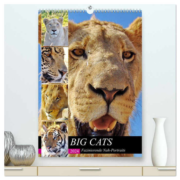 BIG CATS Fascinating close-up portraits (CALVENDO Premium Wall Calendar 2024) 