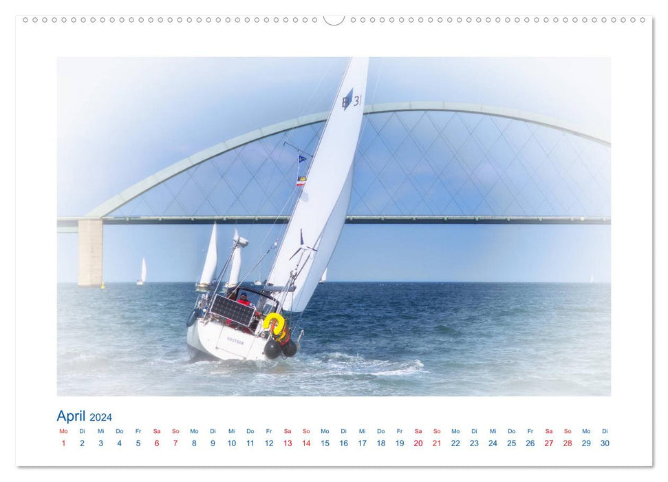 Out and about on the Baltic Sea (CALVENDO Premium Wall Calendar 2024) 