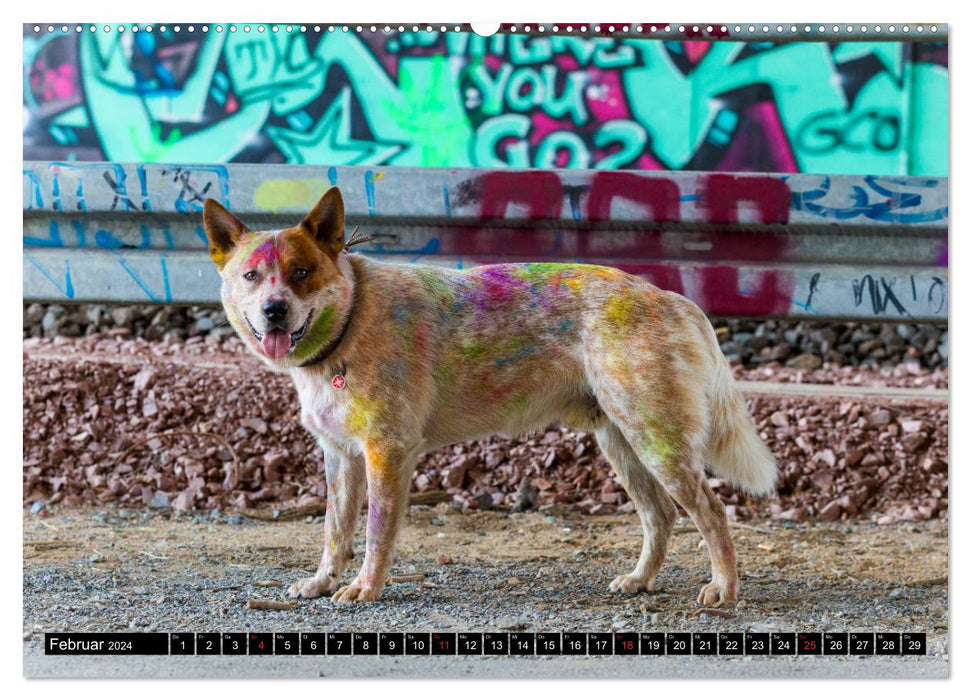 Coole bunte Hunde (CALVENDO Premium Wandkalender 2024)