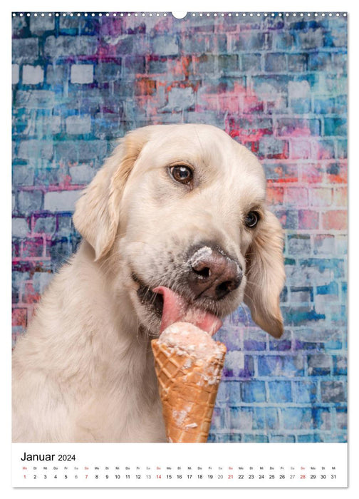 Cool Dogs - Dog Ice Cream Time (CALVENDO Premium Wall Calendar 2024) 
