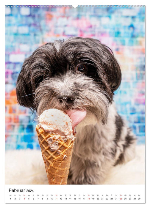 Cool Dogs - Hunde-Eis-Zeit (CALVENDO Premium Wandkalender 2024)