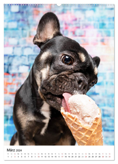 Cool Dogs - Dog Ice Cream Time (CALVENDO Premium Wall Calendar 2024) 