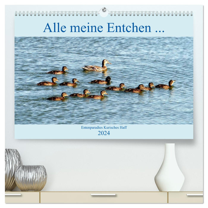 All my ducklings... Duck Paradise Curonian Lagoon (CALVENDO Premium Wall Calendar 2024) 