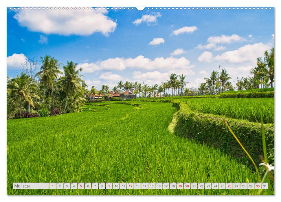 Bali and Nusa Lembongan (CALVENDO Premium Wall Calendar 2024) 