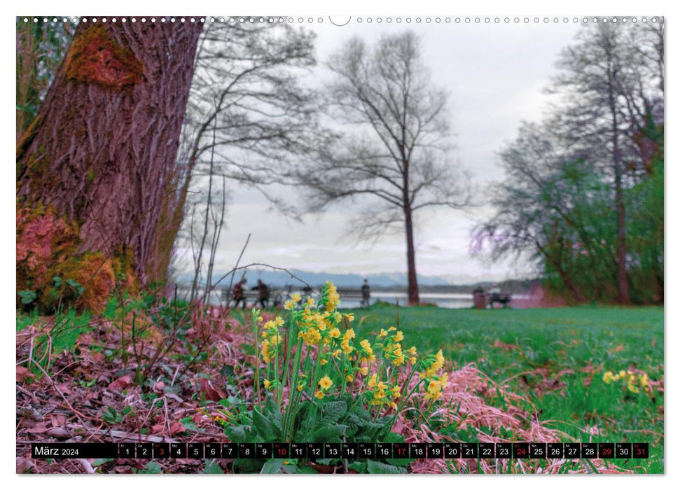 Bavarian Fairytale Lakes (CALVENDO Premium Wall Calendar 2024) 