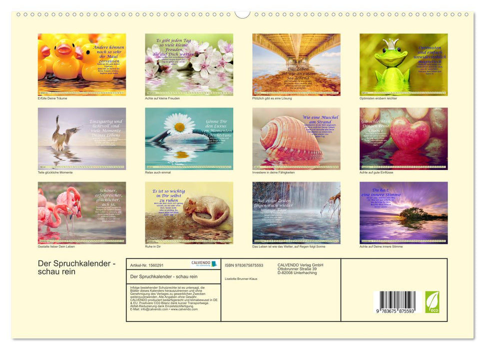 Spruchkalender - schau rein (CALVENDO Premium Wandkalender 2024)