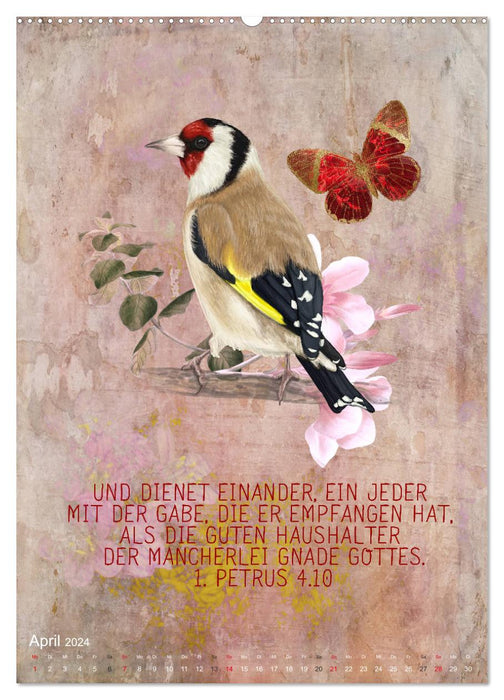 Bible words for bird lovers (CALVENDO Premium Wall Calendar 2024) 