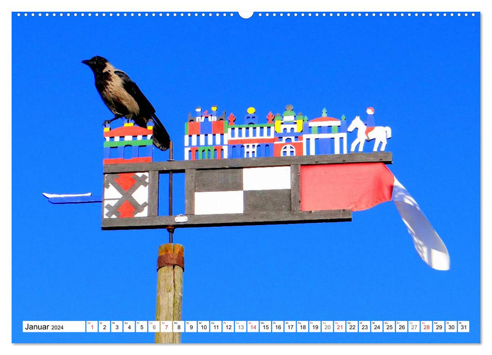 Nebelkrähen aus der Nähe - Faszinierende Vögel am Kurischen Haff (CALVENDO Premium Wandkalender 2024)