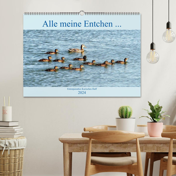 All my ducklings... Duck paradise Curonian Lagoon (CALVENDO wall calendar 2024) 