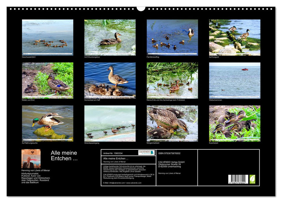 All my ducklings... Duck paradise Curonian Lagoon (CALVENDO wall calendar 2024) 