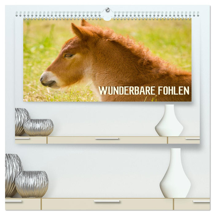 Wunderbare Fohlen (CALVENDO Premium Wandkalender 2024)