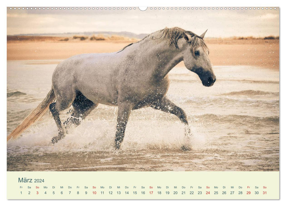 HORSES &amp; SEA (CALVENDO Premium Wall Calendar 2024) 