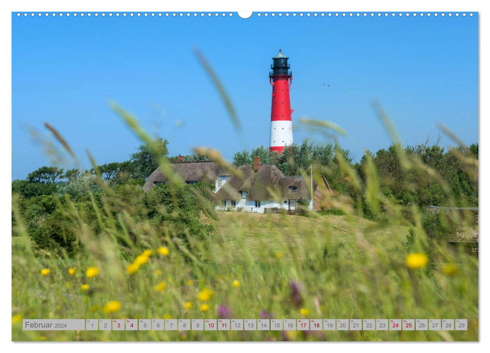 Lighthouses - Guardians of the Coasts (CALVENDO Premium Wall Calendar 2024) 