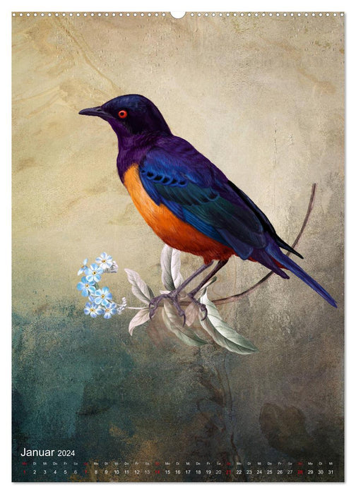 Wunderbare märchenhafte Welt der Vögel (CALVENDO Wandkalender 2024)