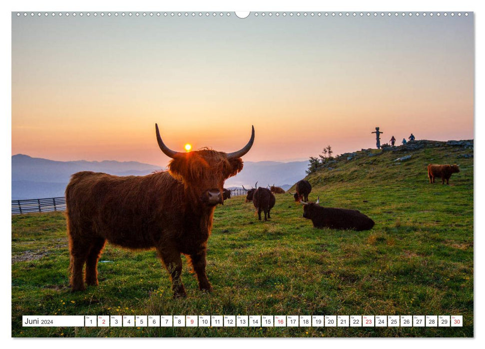 Speiereck &amp; Grosseck (CALVENDO wall calendar 2024) 