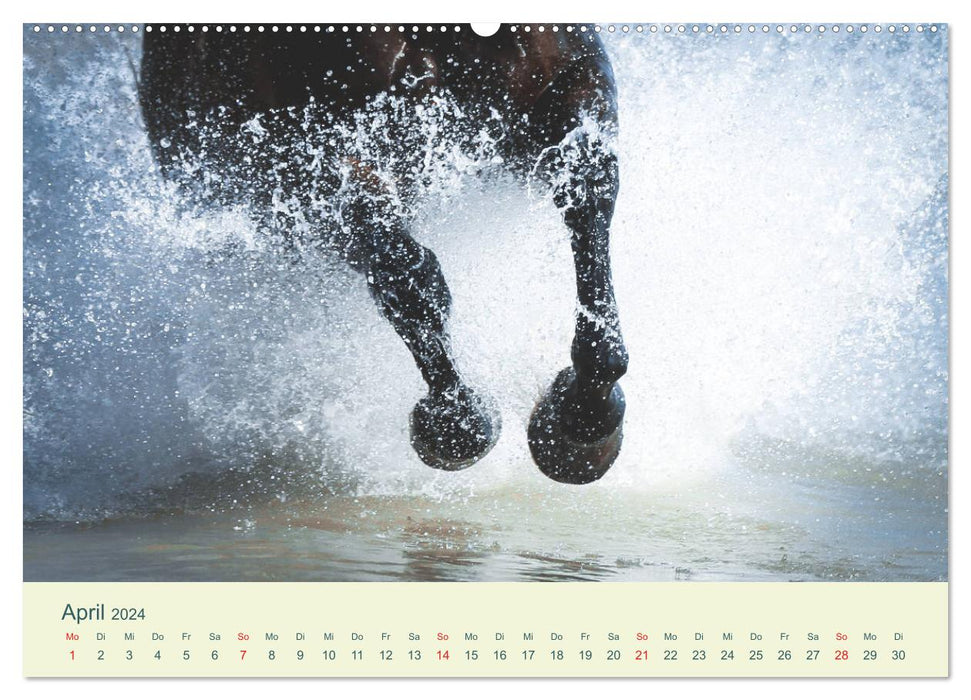 HORSES &amp; SEA (CALVENDO wall calendar 2024) 