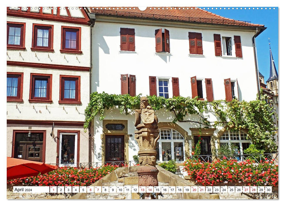 Bad Wimpfen - old town pearl on the Neckar (CALVENDO wall calendar 2024) 