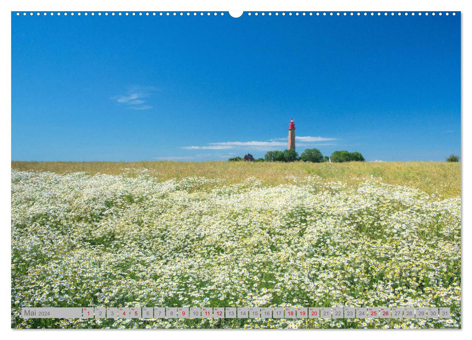 Phares - Gardiens des Côtes (Calendrier mural CALVENDO 2024) 