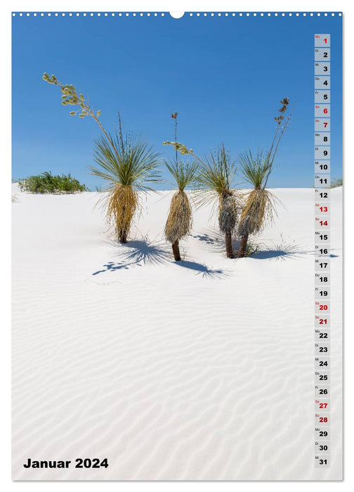 WHITE SANDS NATIONAL MONUMENT Wüstenimpressionen (CALVENDO Wandkalender 2024)