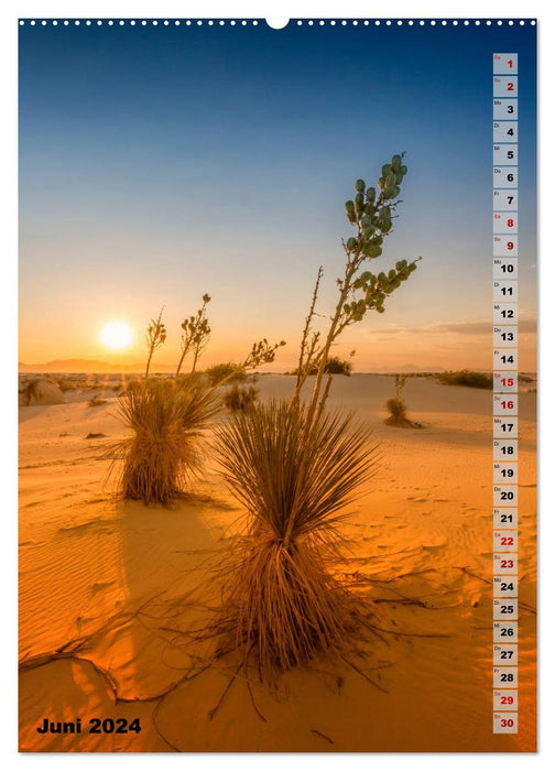 Impressions du désert du MONUMENT NATIONAL DES SABLES BLANCS (calendrier mural CALVENDO 2024) 