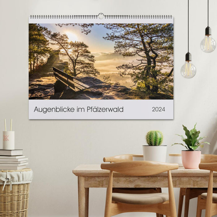 Moments in the Palatinate Forest (CALVENDO wall calendar 2024) 