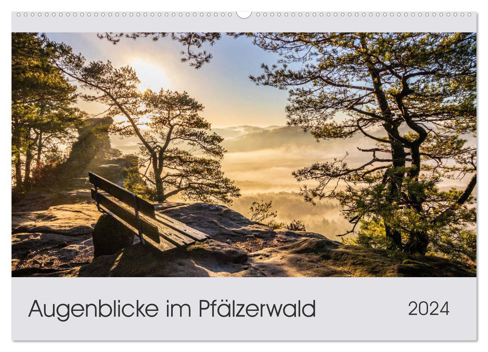 Moments in the Palatinate Forest (CALVENDO wall calendar 2024) 
