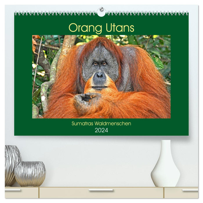 Orang Utans Sumatras Waldmenschen (CALVENDO Premium Wandkalender 2024)