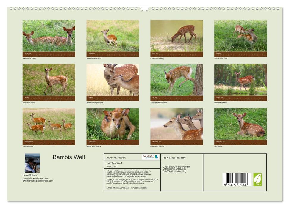Le Monde de Bambi (Calendrier mural CALVENDO Premium 2024) 