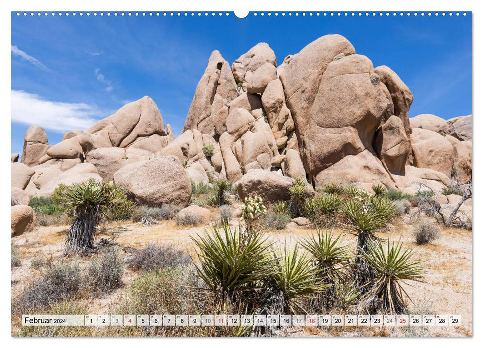 JOSHUA TREE NATIONAL PARK Impressions du désert du sud de la Californie (Calvendo Premium Wall Calendar 2024) 