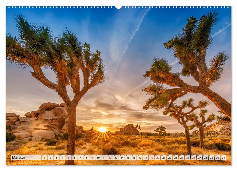 JOSHUA TREE NATIONAL PARK Wüstenimpressionen aus Südkalifornien (CALVENDO Premium Wandkalender 2024)