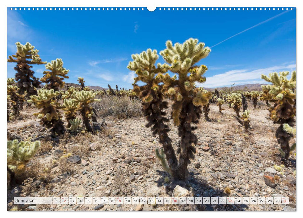 JOSHUA TREE NATIONAL PARK Impressions du désert du sud de la Californie (Calvendo Premium Wall Calendar 2024) 