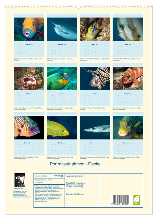 Portraits - poissons (Calendrier mural CALVENDO Premium 2024) 