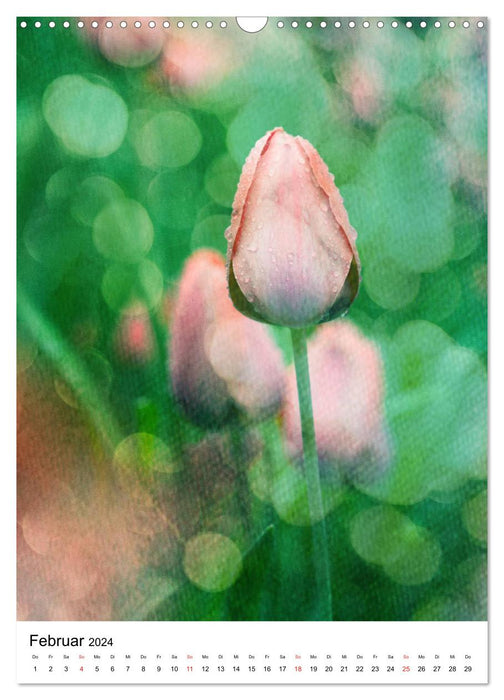 Flowerpower - Kreative Blumenfotografie (CALVENDO Wandkalender 2024)