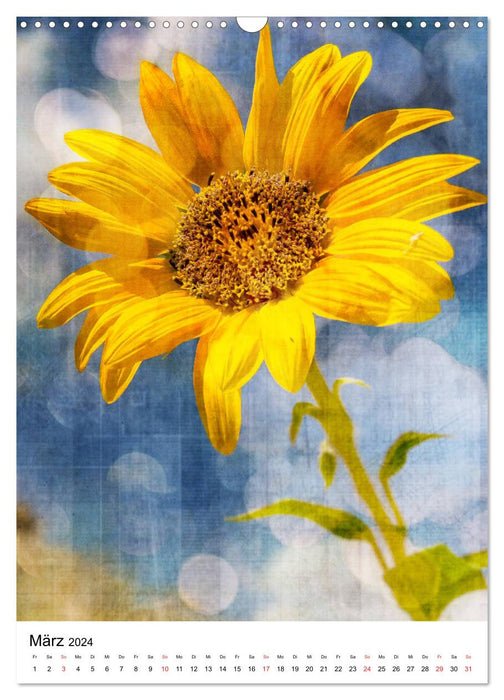 Flower Power – Photographie créative de fleurs (Calvendo mural 2024) 