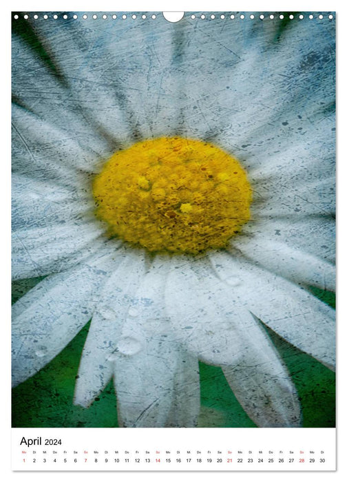 Flower Power – Photographie créative de fleurs (Calvendo mural 2024) 