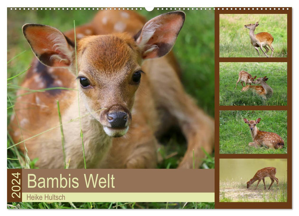 Bambis Welt (CALVENDO Wandkalender 2024)