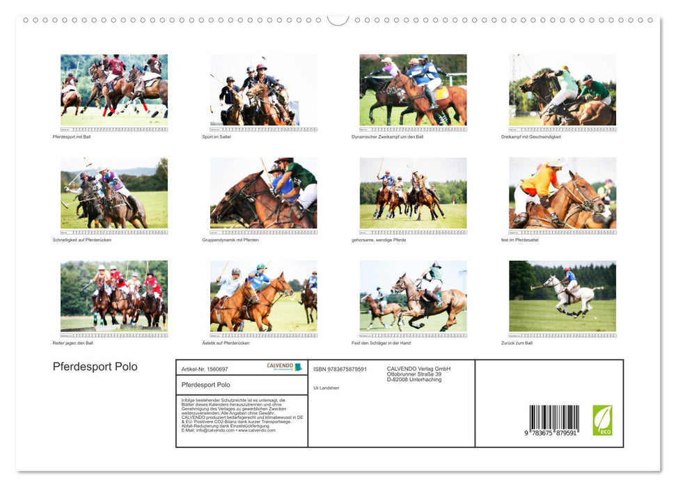 Polo de sports équestres (Calendrier mural CALVENDO Premium 2024) 