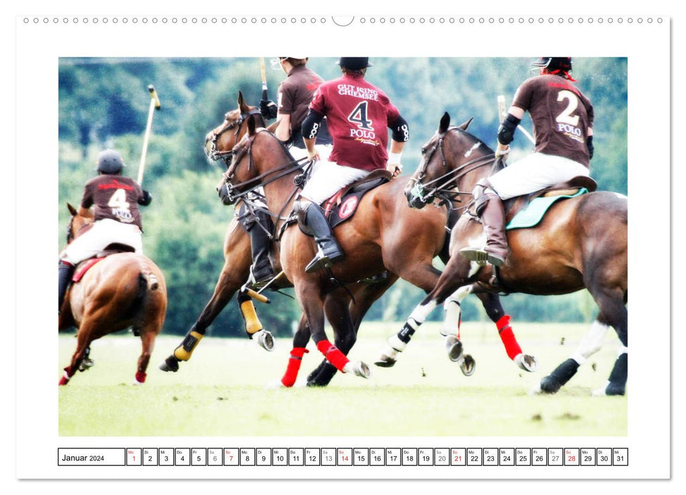 Polo de sports équestres (Calendrier mural CALVENDO Premium 2024) 