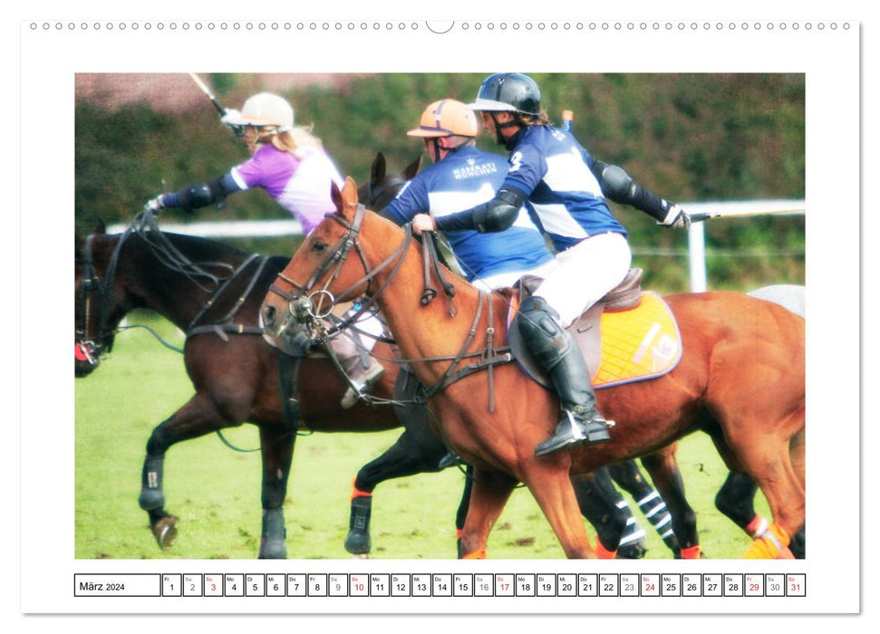 Polo de sports équestres (Calendrier mural CALVENDO Premium 2024) 