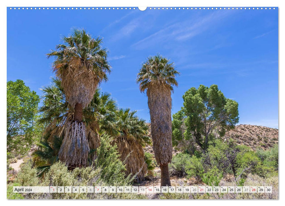 JOSHUA TREE NATIONAL PARK Wüstenimpressionen aus Südkalifornien (CALVENDO Wandkalender 2024)