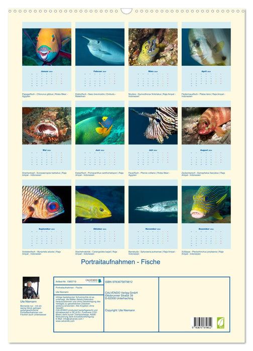 Portraitaufnahmen - Fische (CALVENDO Wandkalender 2024)