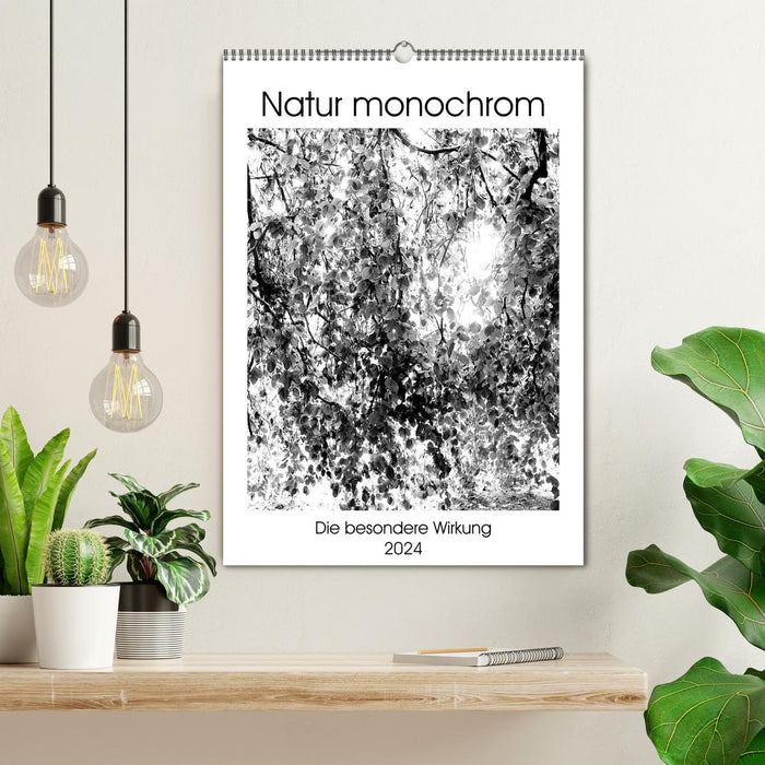 Natur monochrom Die besondere Wirkung (CALVENDO Wandkalender 2024)