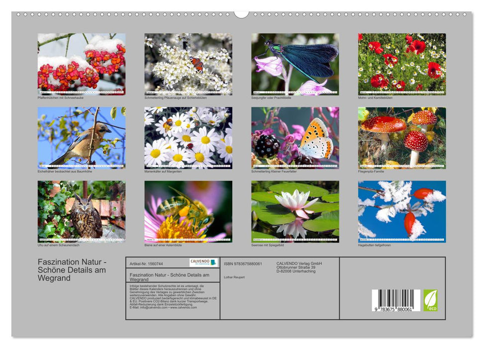 Faszination Natur - Schöne Details am Wegrand (CALVENDO Premium Wandkalender 2024)