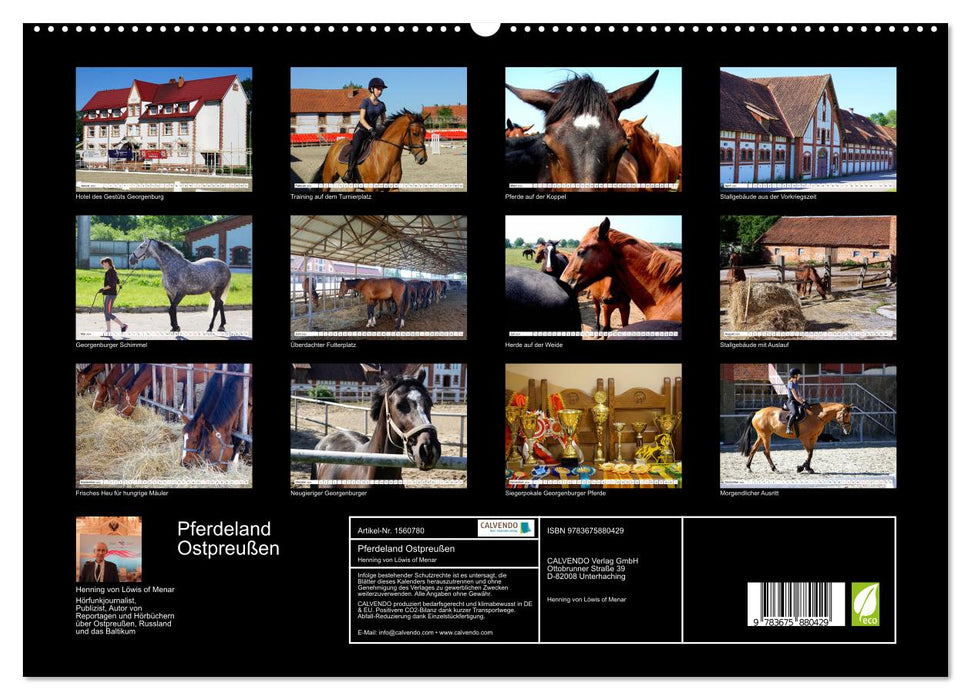 Pferdeland Ostpreußen - Gestüt Georgenburg (CALVENDO Premium Wandkalender 2024)